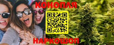 a pvp Чебоксары