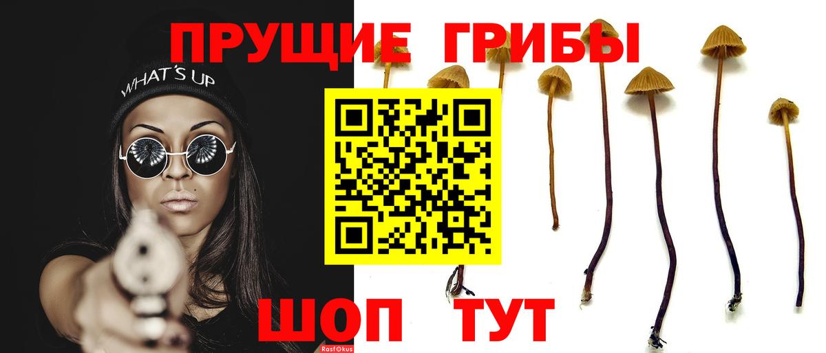 Псилоцибиновые грибы прущие грибы Коломна